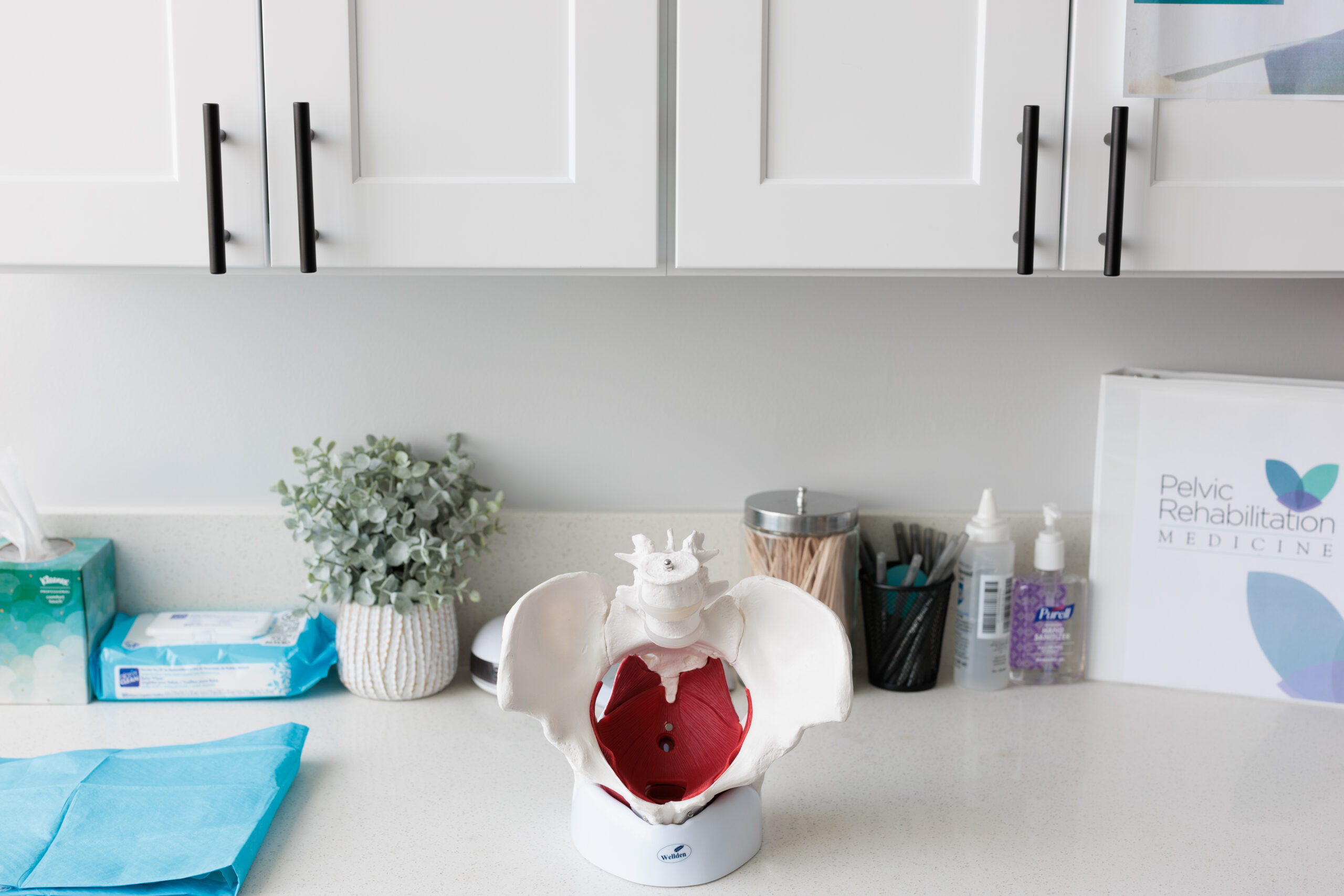 Dallas Tx Pelvic Rehabilitation Medicine Exam Room